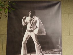 Elvis Ausstellung im 48er